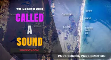 Why Do We Call Certain Bodies of Water 'Sounds'?