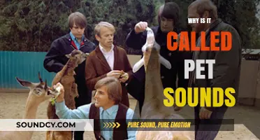 The Story Behind the Title 'Pet Sounds