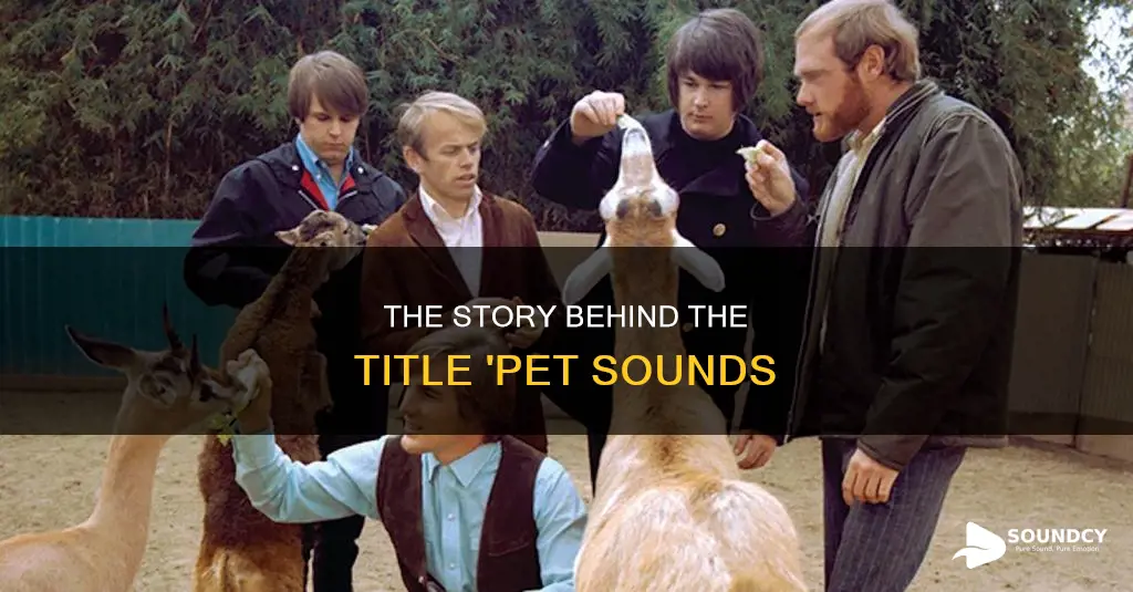 why is it called pet sounds