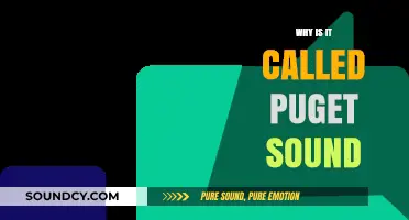 The Puget Sound: A Historical Naming