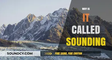 Unveiling the Origins: Why is it Called Sounding?