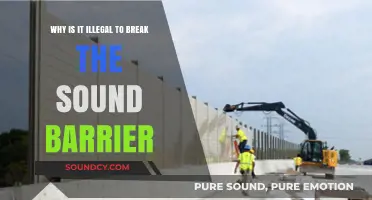 Breaking the Sound Barrier: Legal Consequences and Public Safety Concerns