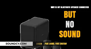 Bluetooth Speaker Connected But No Sound? Troubleshooting Tips and Fixes
