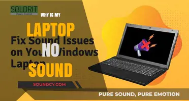 Troubleshooting Laptop Sound Issues: No Audio