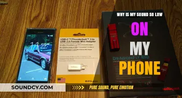 Why Is My Phone's Sound So Low? Quick Fixes Revealed