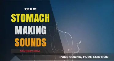 Stomach Noises: What's Behind the Rumbling?