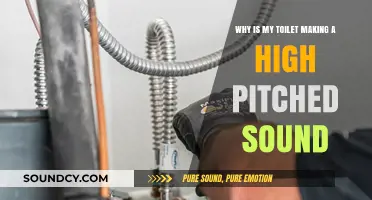Why Your Toilet Makes a High-Pitched Sound: Causes & Fixes