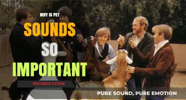 Pet Sounds: A Cultural Landmark in Music History