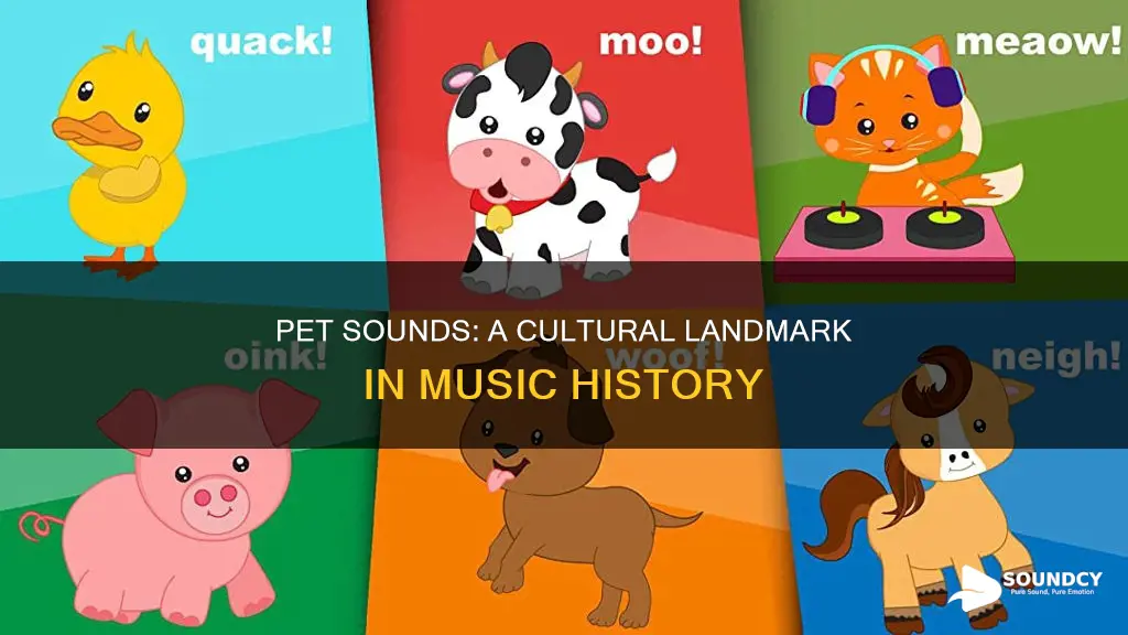 why is pet sounds so important