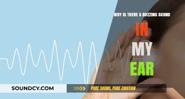 Buzzing in My Ear: Causes, Concerns, and Potential Solutions Explained