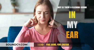 Why Do I Hear a Clicking Sound in My Ear?