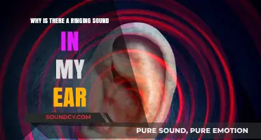 Understanding Tinnitus: Causes and Solutions for Ringing Ears