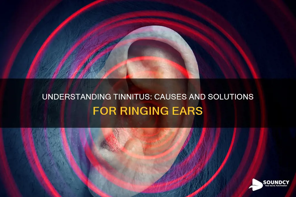 why is there a ringing sound in my ear