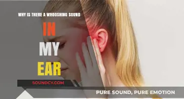 Whooshing Sound in Your Ear: Causes, Concerns, and Solutions Explained
