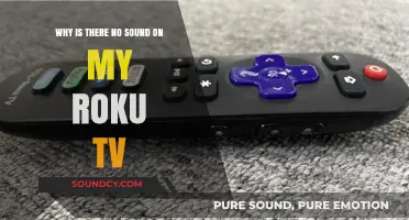 Roku TV Silent? Troubleshooting No Sound Issues on Your Device
