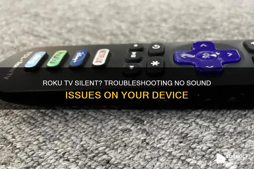 why is there no sound on my roku tv