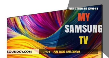 Samsung TV Silent? Troubleshooting No Sound Issues on Your TV
