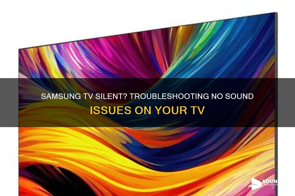 why is there no sound on my samsung tv