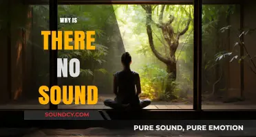Why Is There No Sound? Exploring the Science Behind Silence