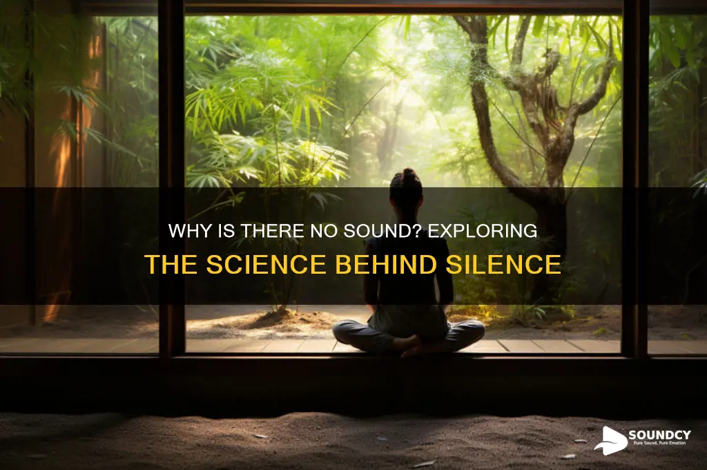 why is there no sound
