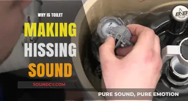Toilet Hissing: What's the Reason Behind the Noise?