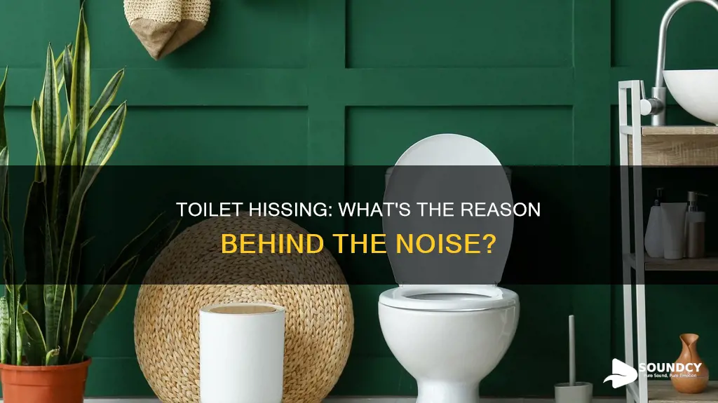 why is toilet making hissing sound