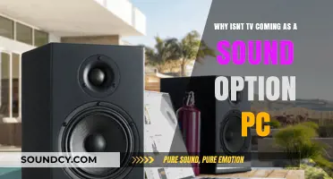 Troubleshooting TV Audio: Why Isn't TV a Sound Option on PC?