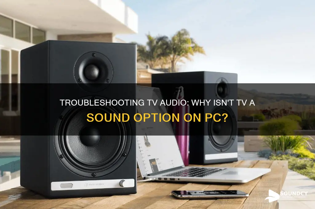 why isnt tv coming as a sound option pc