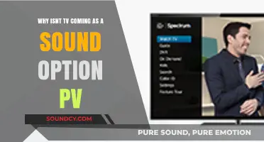 Troubleshooting TV Audio: Why Isn't TV a Sound Option on PV?