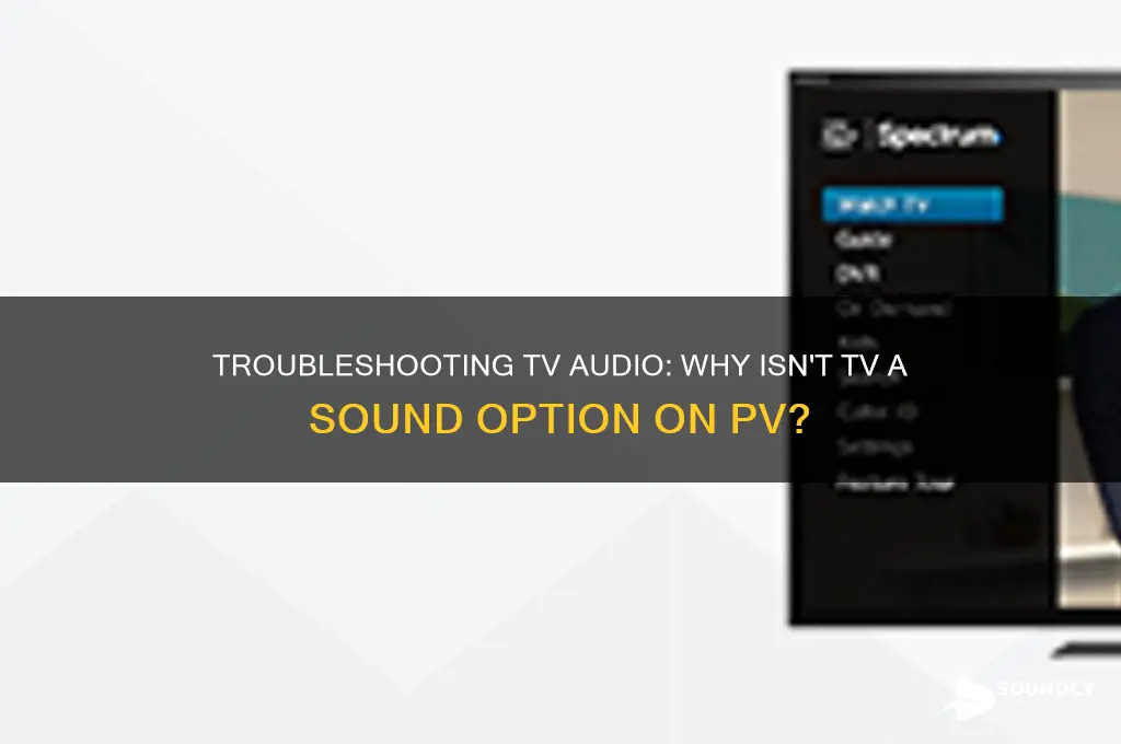 why isnt tv coming as a sound option pv