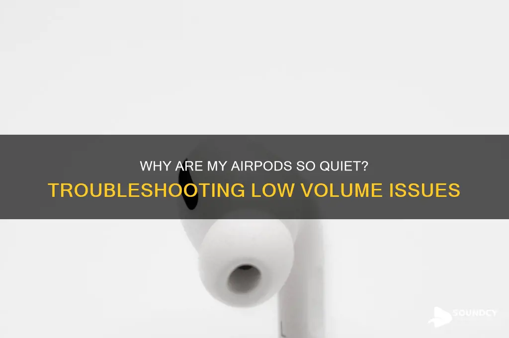 why my airpod sound low