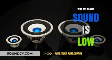 Alarms: Why is the volume low?
