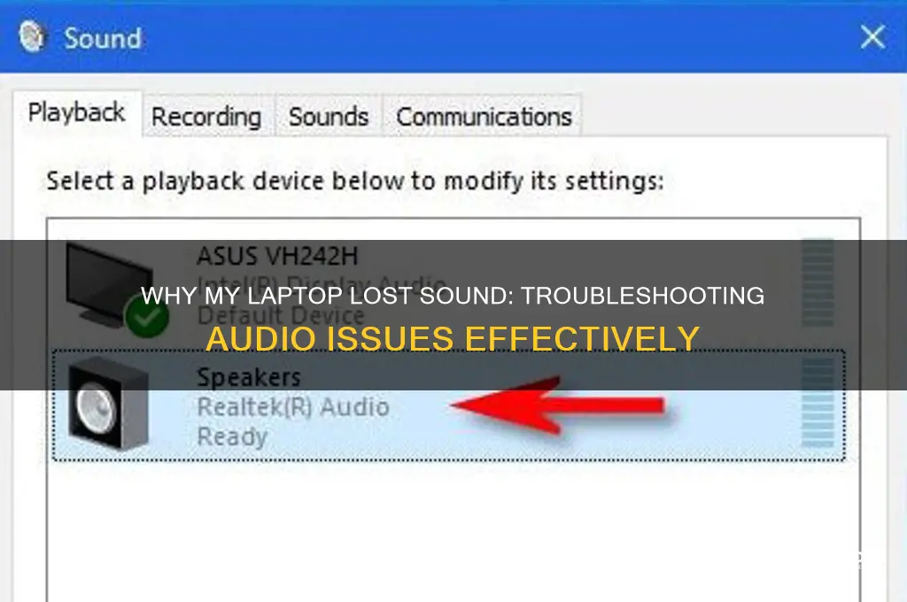 why my laptop lost sound