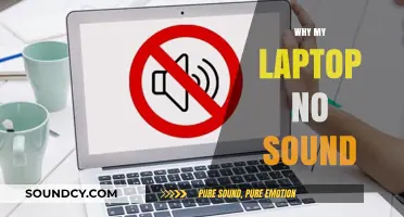 Why My Laptop Has No Sound: Troubleshooting Tips and Fixes