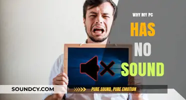 Troubleshooting PC Sound Issues