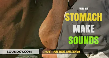 Why Your Stomach Makes Noises: Understanding the Science Behind the Sounds