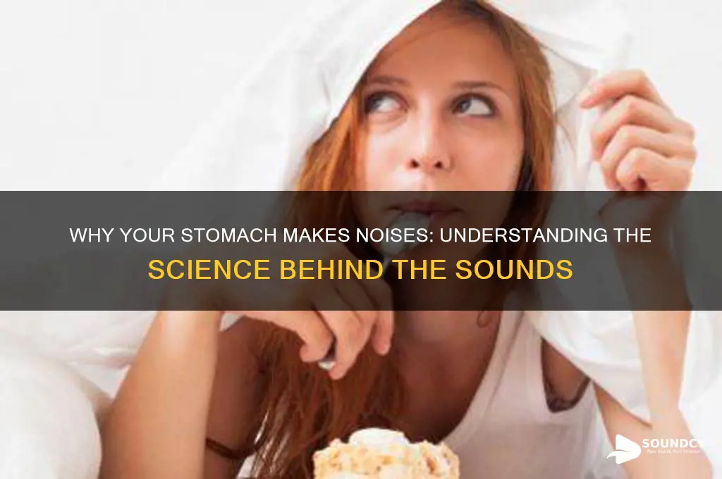why my stomach make sounds